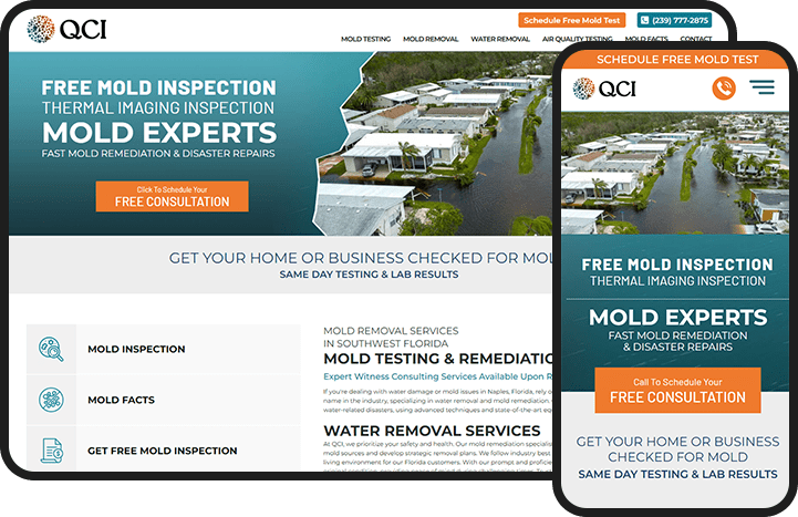 QCI Free Mold Inspection Website Design